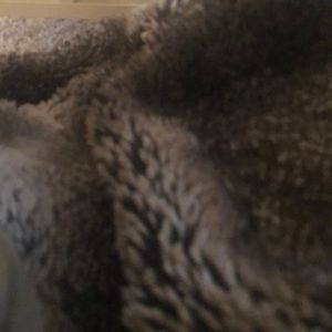 Meet your Posher, Laurence